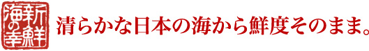 清らかな日本の海から鮮度そのまま。